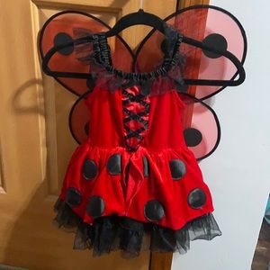 Ladybug costume